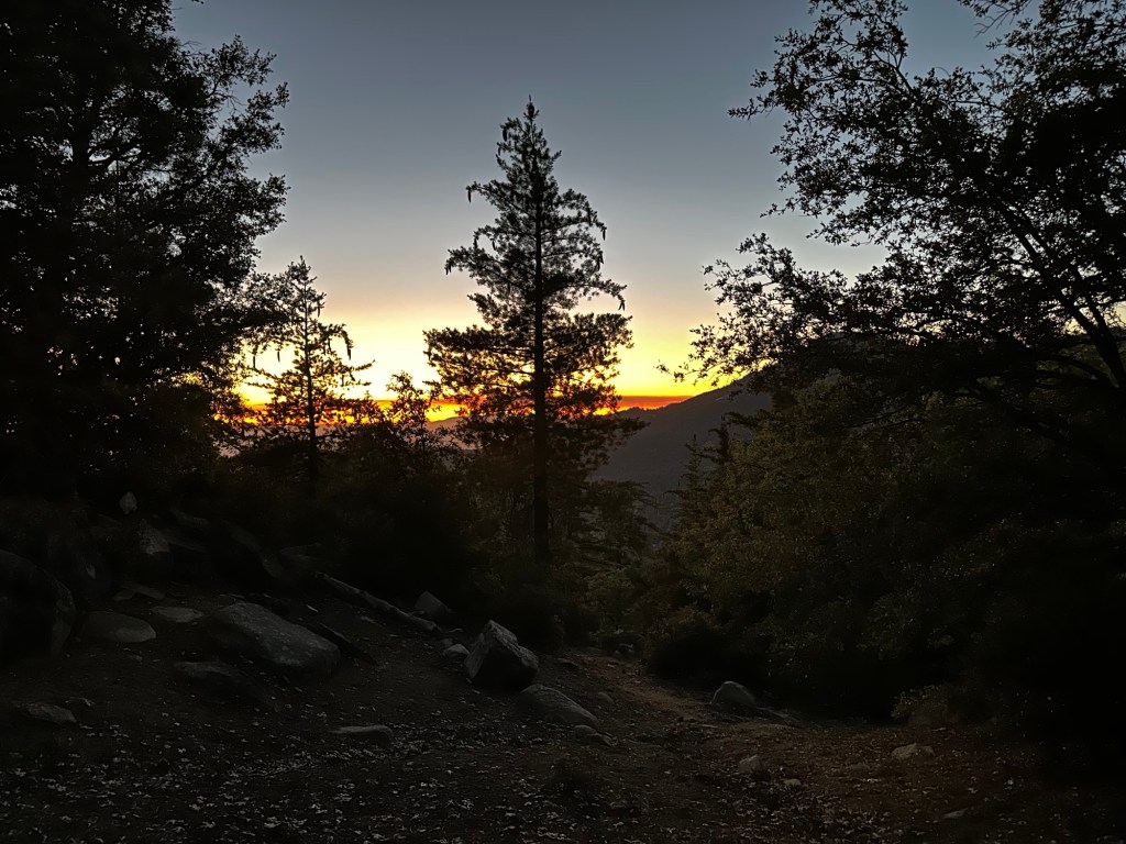 Bad Knees, Bad Habits, Good Times Pt. 2: From “Five Year Plan” to Actual&nbsp;Planning